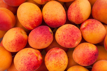 apricots