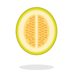 Illustration of a half melon with drop shadow. Isolated