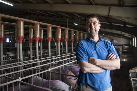 Salamanca, Spain, Pig farmer in a factory farm of Iberian pig