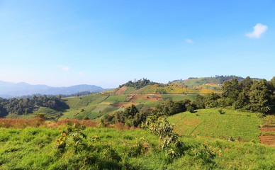 Landscape of nature mountain, Chaingmai, Thailand