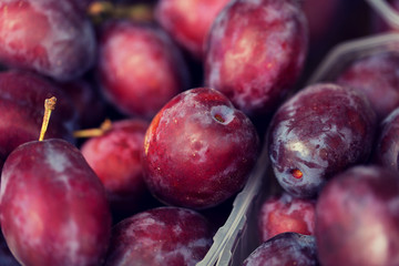 close up of satsuma plums in box at street market