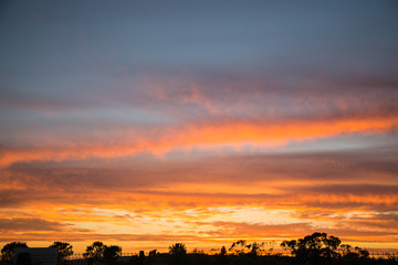 Golden stripes in a cloudy sky at sunset in Ayamonte, Andalucia, Spain. Trees can be seen silhouetted in the foreground.