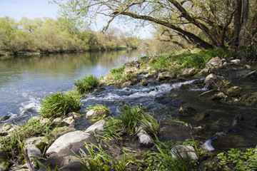 Der Zufluss des Unkenbachs in den Main in der Mainebne zwischen  Hirschfeld und Heidenfeld im...
