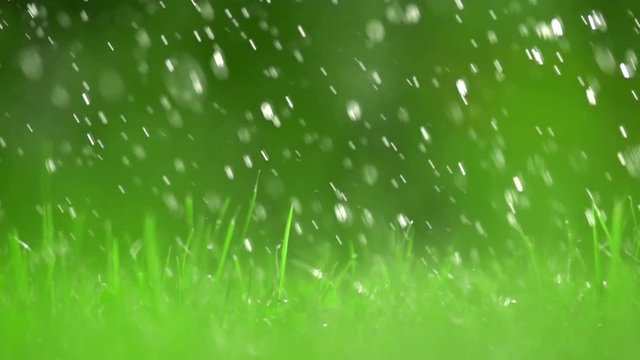 Green grass lawn and falling raindrops, shallow DOF. Super slow motion video, 500 fps
