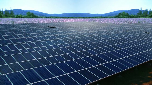 Solar farm,solar power panel on meadow flowers hills landscape