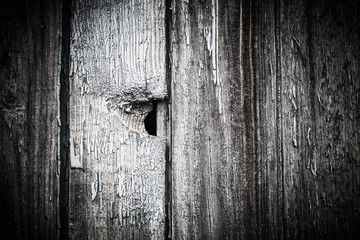 The old wooden houses painted wall. Closeup view. Selective focu