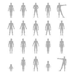 Full length front, back human silhouette set with marked body's