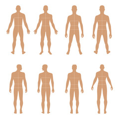 Full length front, back man silhouette set with marked body's si