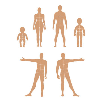 Full length front, back human silhouette set with marked body's