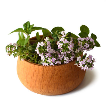Bunch of thyme in wooden bowl
