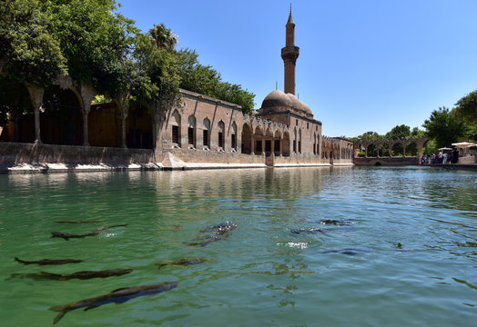 Balikligol in Sanliurfa is also known as the pool of sacred fish or the pool of Abraham
