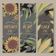 Three color sunflower, olive, corn oil labels on black. - 116801085