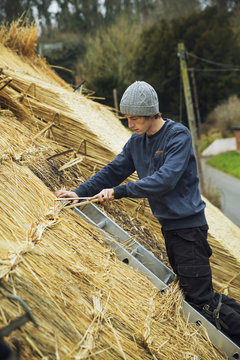 Thatcher standing on a ladder on a roof, fastening straw at a seam.