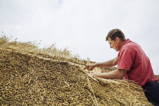 Man thatching a roof, layering the straw.