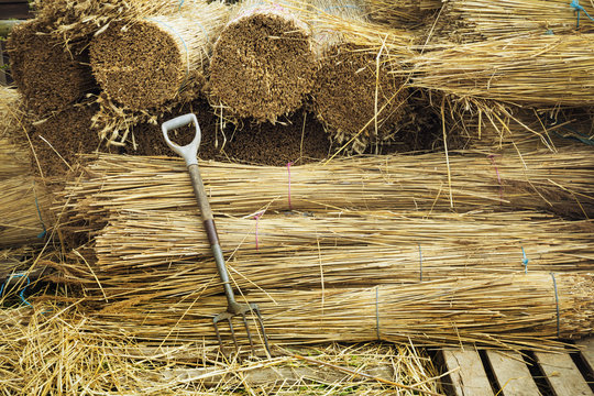 Pitchfork leaning against bundles of straw used for thatching a roof.