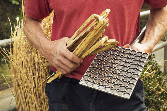 Close up of a thatcher holding a leggett and hazel wood spars. 