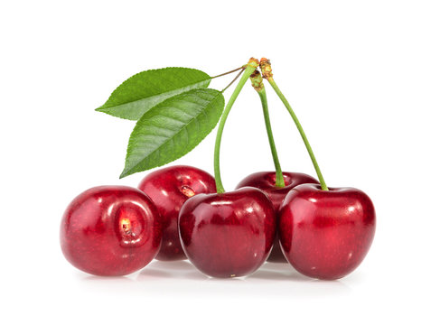 cherries isolated