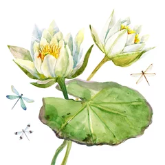 Papier Peint photo autocollant fleur de lotus Fleur de lotus aquarelle