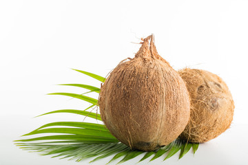 Tropical Coconut without skin isolated 