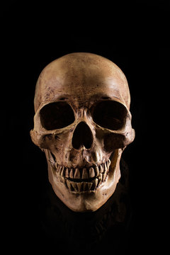 human skull on isolated black background