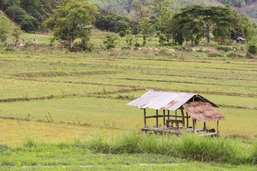 Obraz na płótnie Canvas Peasant's hut