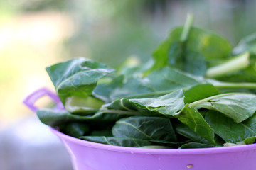 Raw spinach in a bowl. Selective focus.