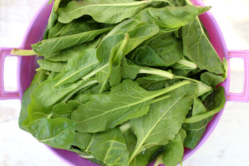 Raw spinach in a bowl. Selective focus, top view.