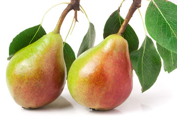 Two red pears with leaves isolated on white background