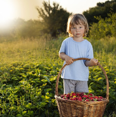 cheerful boy with basket of berries