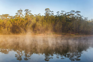 Fototapeta na wymiar beautiful morning view reflection of pine forest in lake and fog