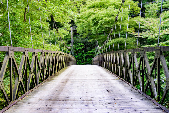 森の中の吊り橋 のストック写真 ロイヤリティフリーの画像 ベクター イラスト Adobe Stock