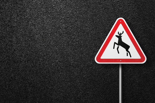 Road sign triangular shape with a picture of the deer on a background of asphalt. The texture of the tarmac, top view.