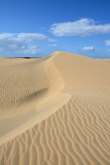 Desert by the sea, sand dunes in Maspalomas, Gran Canaria, Spain