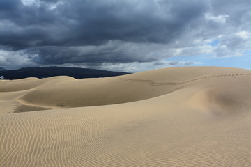 Fototapeta na wymiar Desert by the sea, sand dunes in Maspalomas, Gran Canaria, Spain