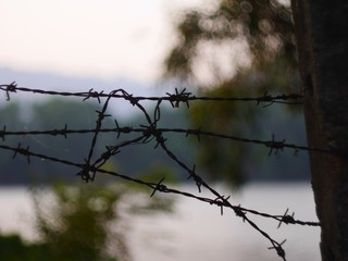 barbed wire