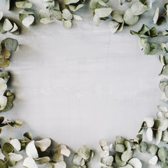 round frame wreath pattern with eucalyptus branches and leaves isolated on concrete background. flat lay, top view