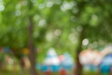 Blurry nature wallpaper. Forest bokeh background. Green defocused backdrop for your design.