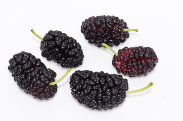 fruit of mulberry