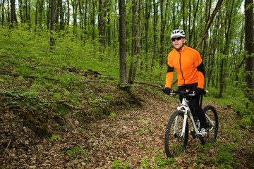 Biker on the forest road
