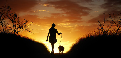 Promenade avec un chien au crépuscule.