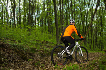 Naklejka premium Biker on the forest road