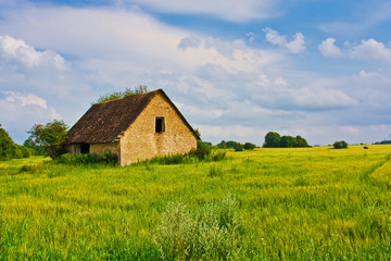Fototapeta na wymiar ountryside wide view of old ruined house with trees behind. Rural summer landscape. European pastoral field, meadow, pasture. Illustration of agriculture.