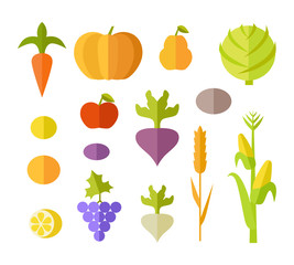 Set of Fruits & Vegetables Vector Illustration.  