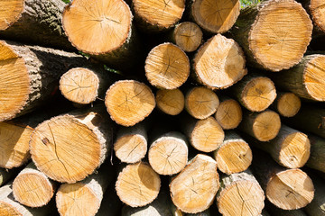 Wooden logs.