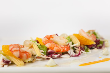 beautiful appetizer on a white background