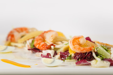 beautiful appetizer on a white background