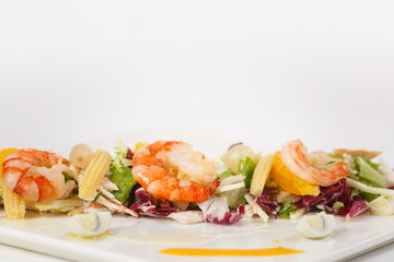 beautiful appetizer on a white background
