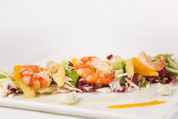 beautiful appetizer on a white background