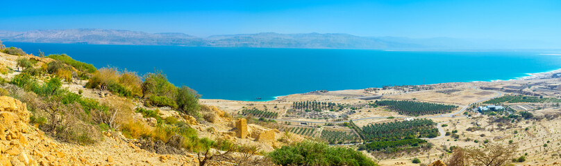 Panoramic view of the Dead Sea coast