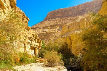 The Ein Gedi gorge